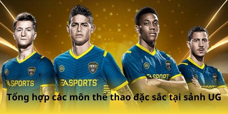 Tổng hợp các môn thể thao đặc sắc tại sảnh UG